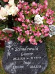 ein Bild aus dem Album